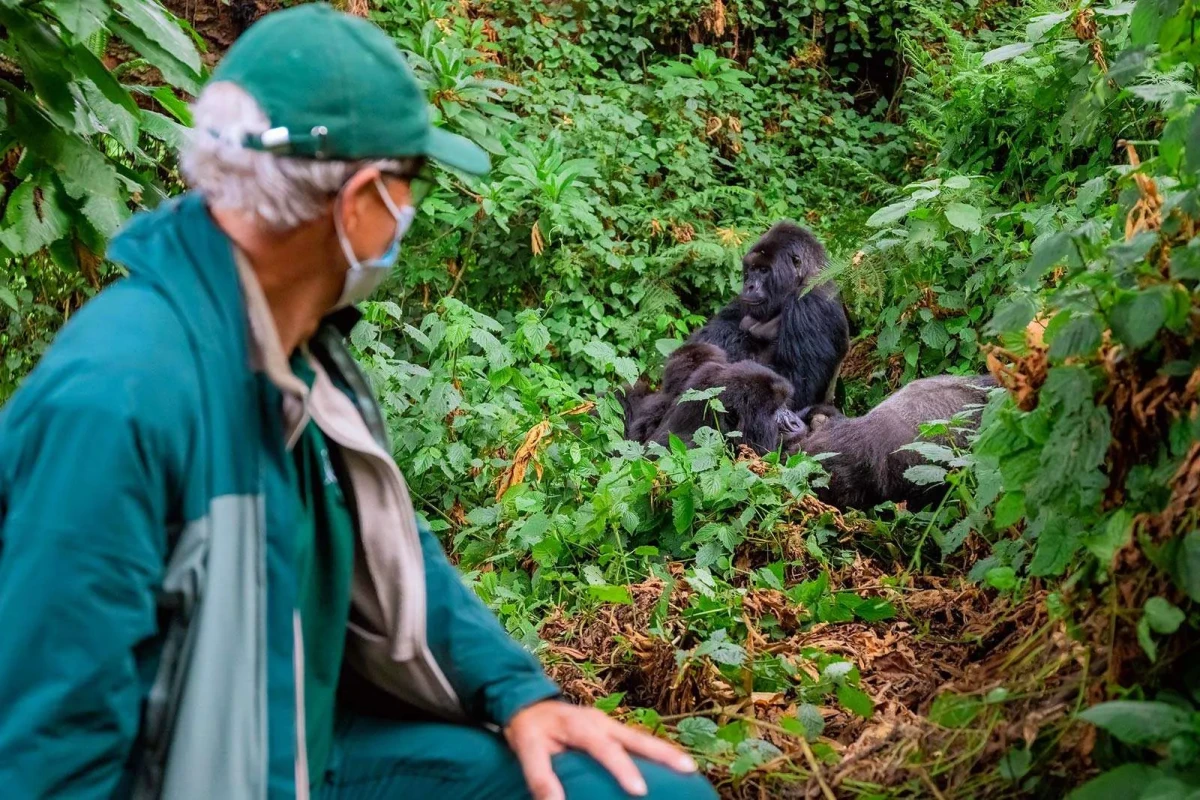 Uganda Gorilla Trekking: Complete Booking Guide for First-Timers