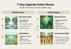 7-Day Uganda Itinerary: Gorillas, Wildlife & Kampala for First-Time Visitors