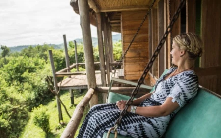 Uganda Safari Cost: Realistic Budget Breakdown for First-Timers