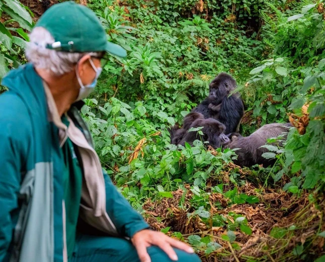 Uganda Gorilla Trekking: Complete Booking Guide for First-Timers