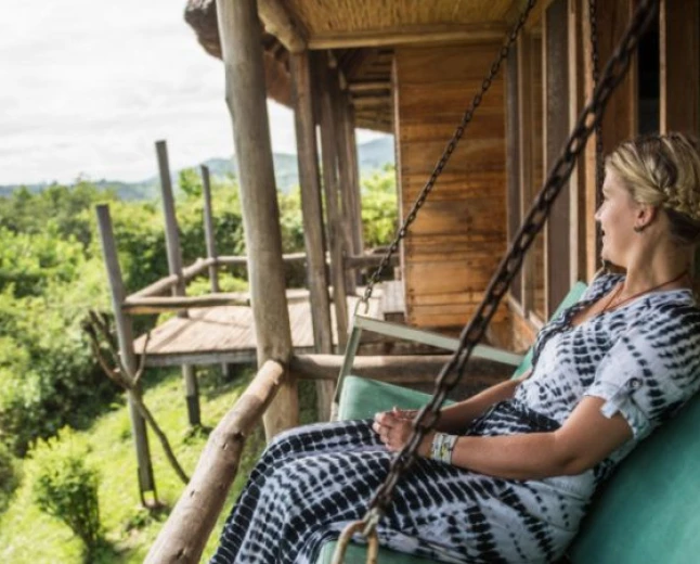 Uganda Safari Cost: Realistic Budget Breakdown for First-Timers