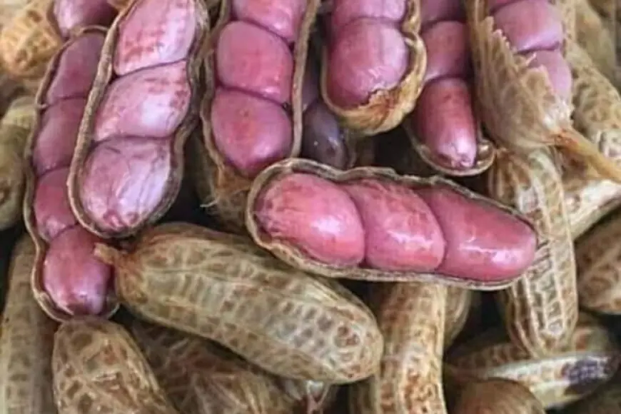 How do you prefer your gnuts?